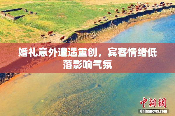 婚礼意外遭遇重创，宾客情绪低落影响气氛