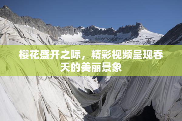 樱花盛开之际，精彩视频呈现春天的美丽景象