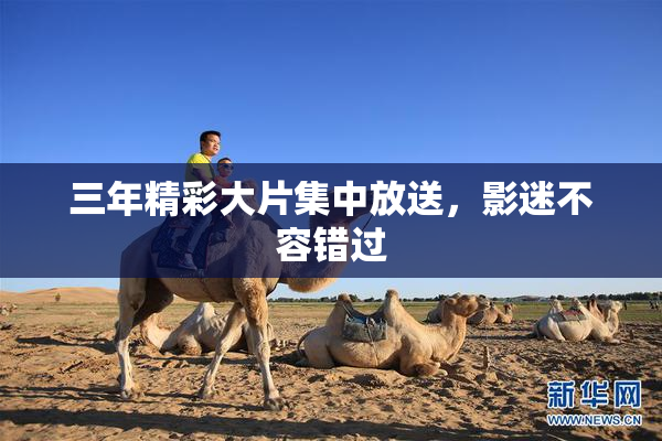 三年精彩大片集中放送，影迷不容错过