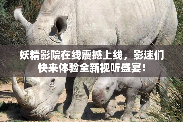 妖精影院在线震撼上线，影迷们快来体验全新视听盛宴！