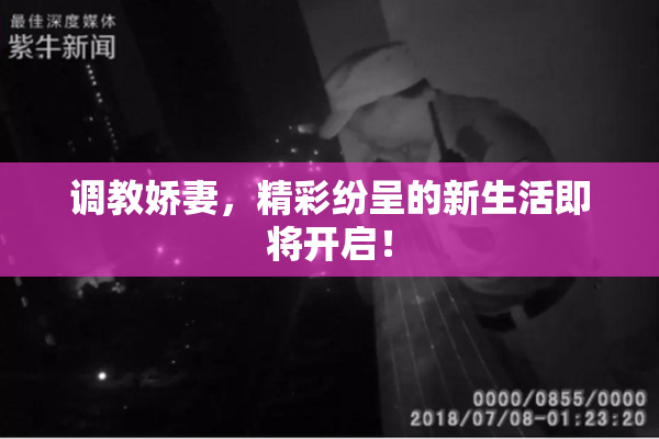 调教娇妻，精彩纷呈的新生活即将开启！
