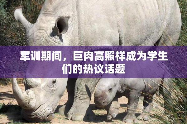 军训期间，巨肉高照样成为学生们的热议话题
