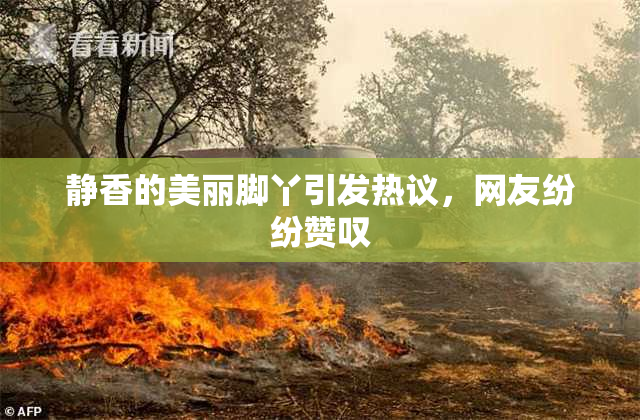 静香的美丽脚丫引发热议，网友纷纷赞叹