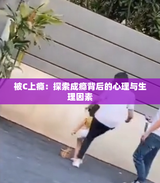 被C上瘾：探索成瘾背后的心理与生理因素
