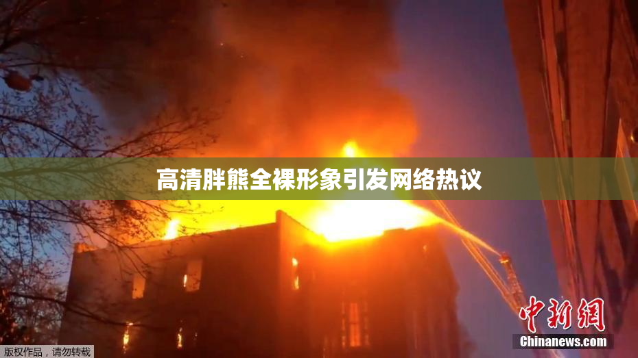 高清胖熊全裸形象引发网络热议