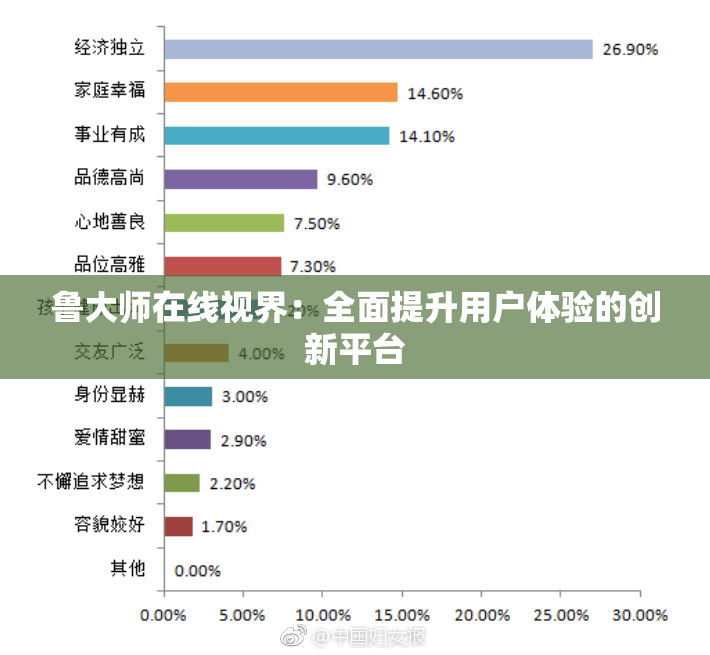 鲁大师在线视界：全面提升用户体验的创新平台
