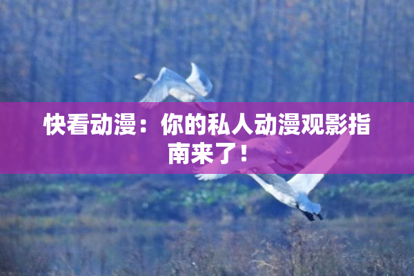 快看动漫：你的私人动漫观影指南来了！