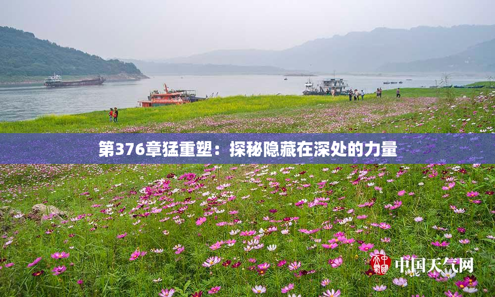 第376章猛重塑：探秘隐藏在深处的力量
