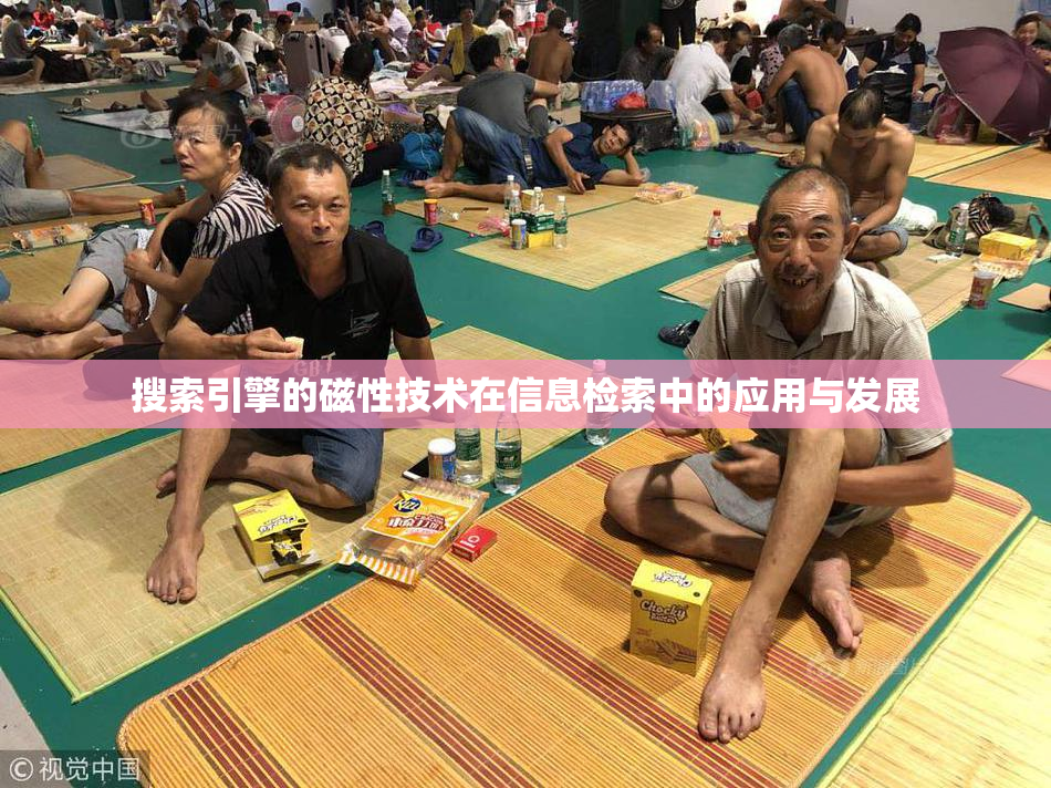 搜索引擎的磁性技术在信息检索中的应用与发展