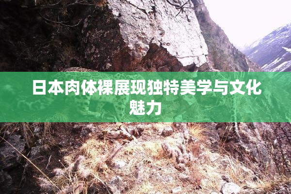 日本肉体裸展现独特美学与文化魅力