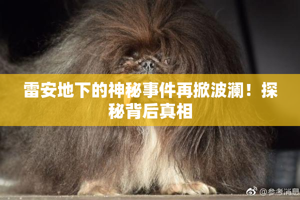 雷安地下的神秘事件再掀波澜！探秘背后真相