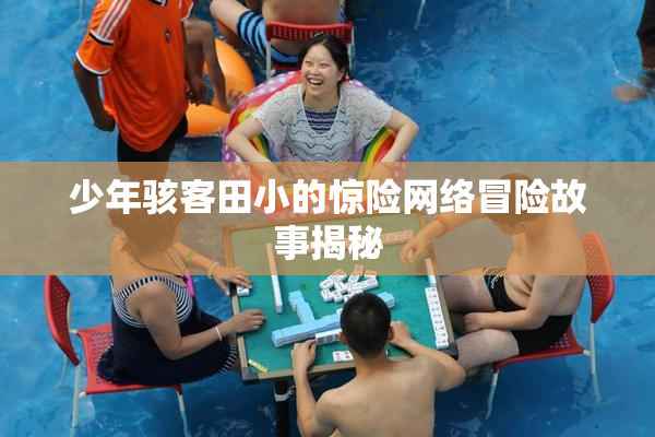 少年骇客田小的惊险网络冒险故事揭秘
