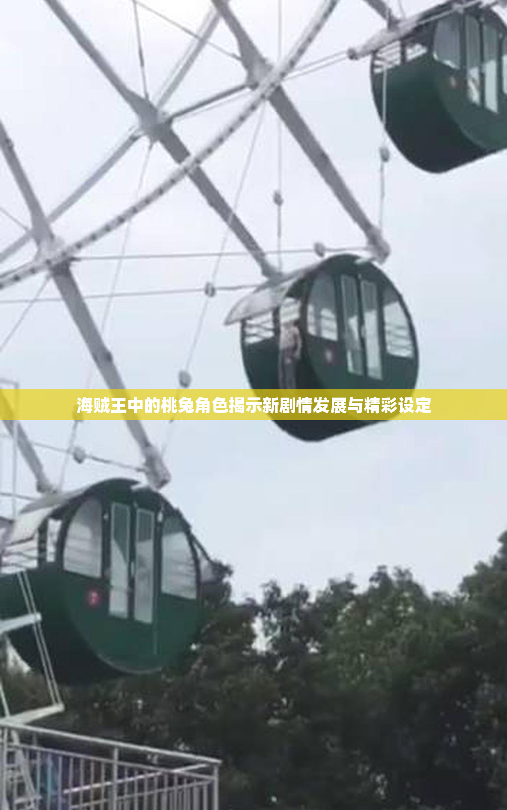 海贼王中的桃兔角色揭示新剧情发展与精彩设定