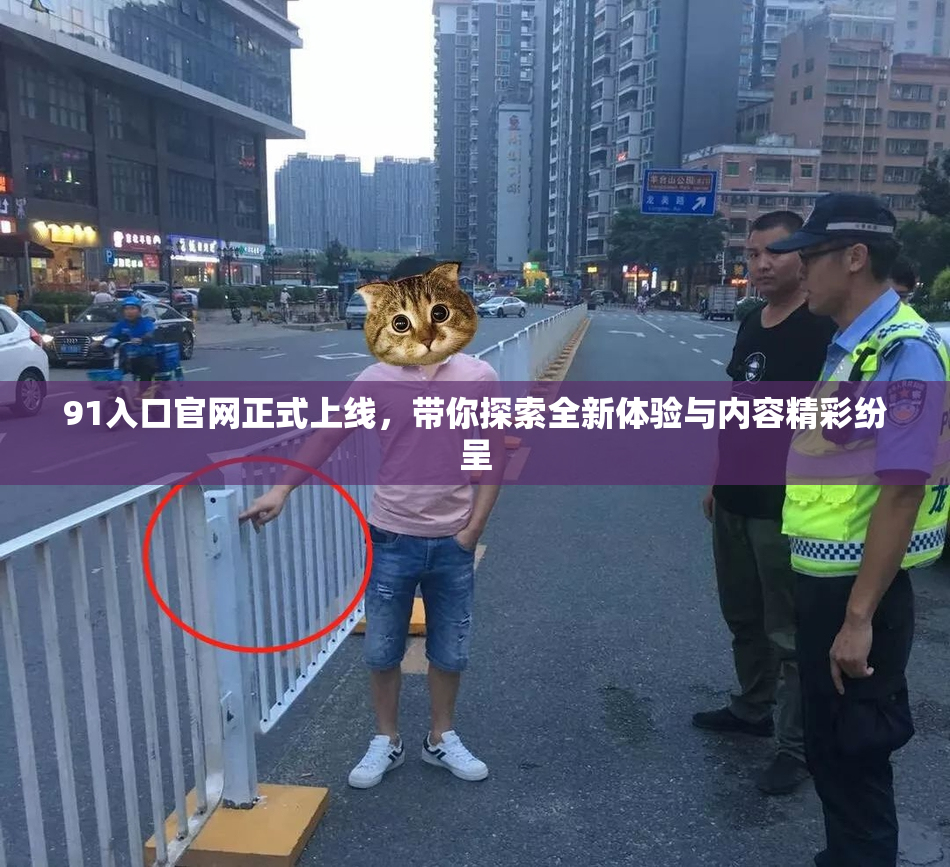 91入口官网正式上线，带你探索全新体验与内容精彩纷呈