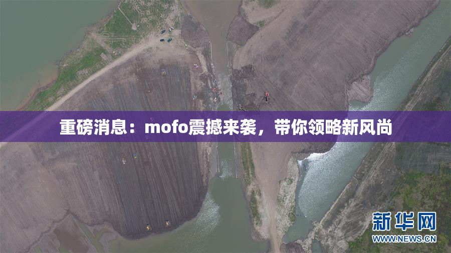 重磅消息：mofo震撼来袭，带你领略新风尚