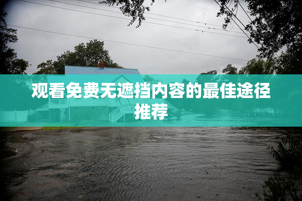 观看免费无遮挡内容的最佳途径推荐