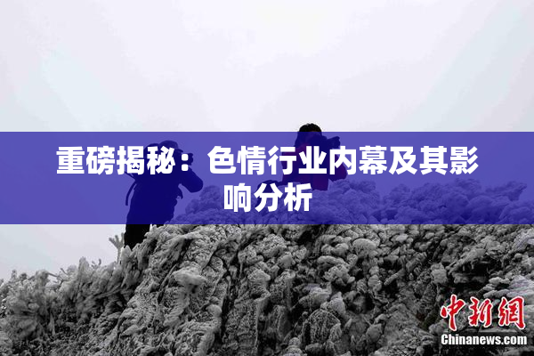 重磅揭秘：色情行业内幕及其影响分析