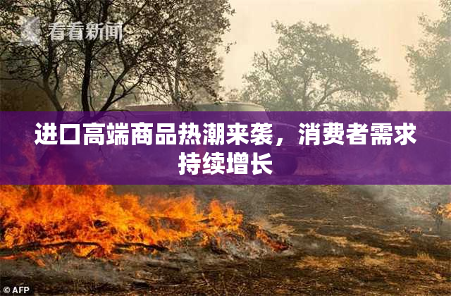 进口高端商品热潮来袭，消费者需求持续增长