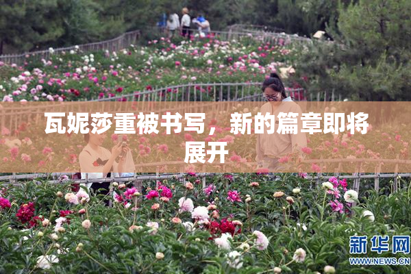 瓦妮莎重被书写，新的篇章即将展开