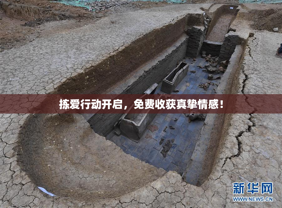 拣爱行动开启，免费收获真挚情感！