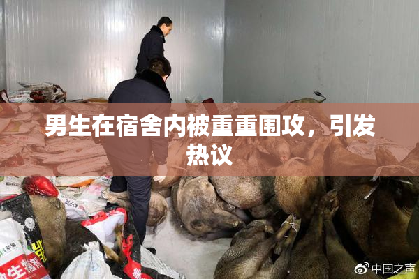 男生在宿舍内被重重围攻，引发热议