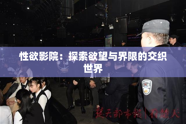 性欲影院：探索欲望与界限的交织世界