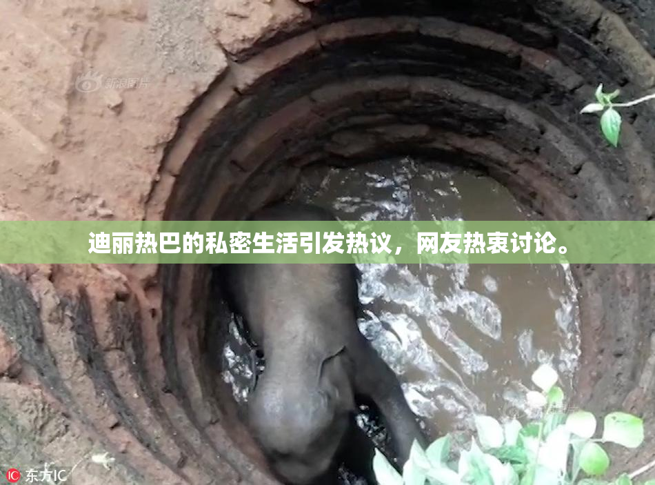 迪丽热巴的私密生活引发热议，网友热衷讨论。