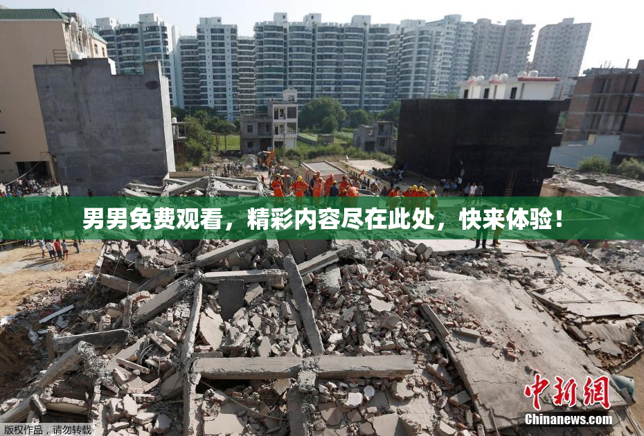 男男免费观看，精彩内容尽在此处，快来体验！