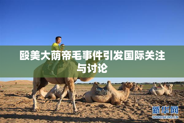 殴美大荫帝毛事件引发国际关注与讨论