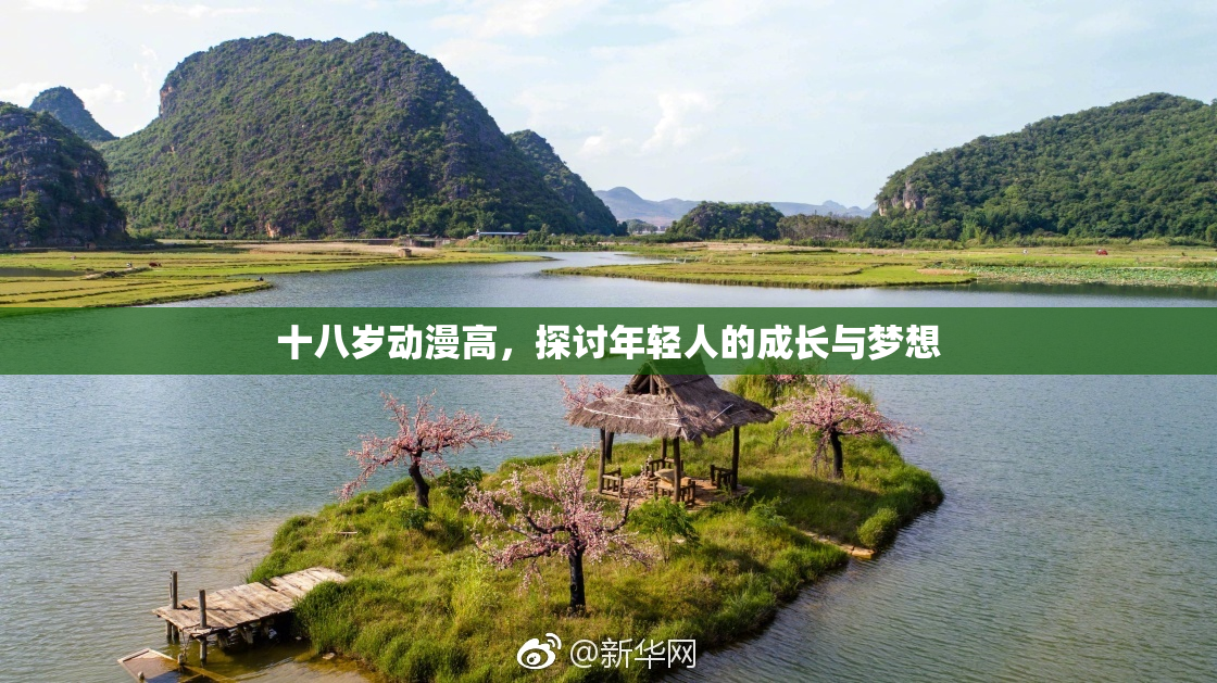十八岁动漫高，探讨年轻人的成长与梦想