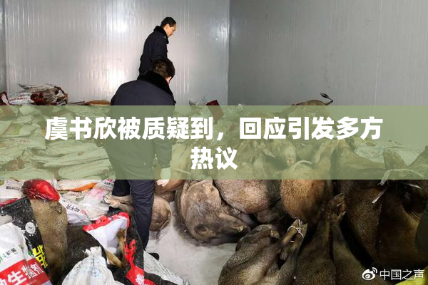 虞书欣被质疑到，回应引发多方热议