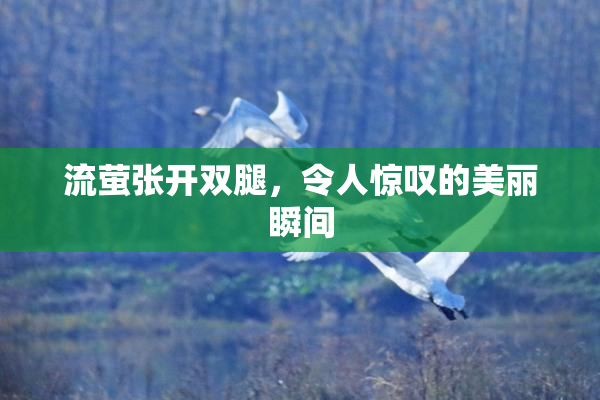 流萤张开双腿，令人惊叹的美丽瞬间