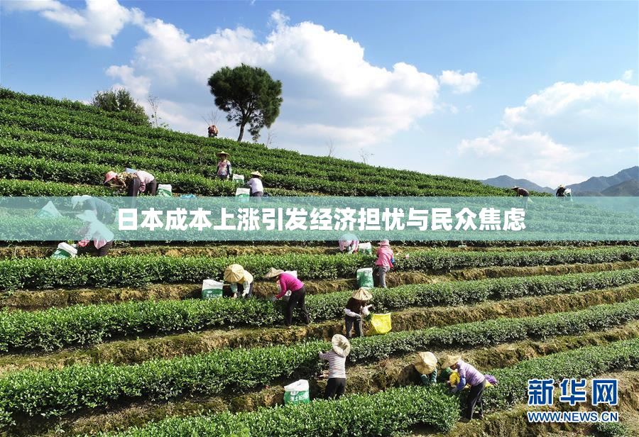 日本成本上涨引发经济担忧与民众焦虑