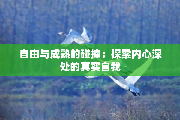 自由与成熟的碰撞：探索内心深处的真实自我