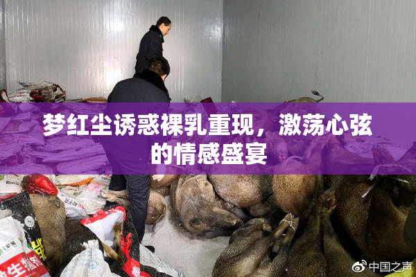 梦红尘诱惑裸乳重现，激荡心弦的情感盛宴
