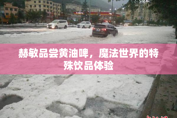赫敏品尝黄油啤，魔法世界的特殊饮品体验