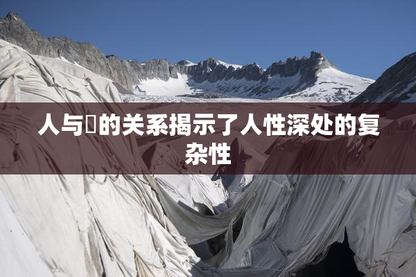 人与嘼的关系揭示了人性深处的复杂性