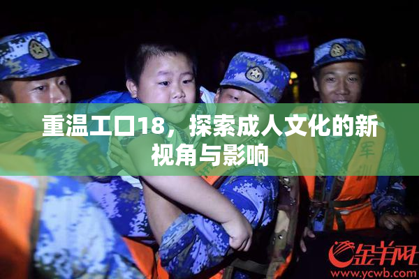 重温工口18，探索成人文化的新视角与影响