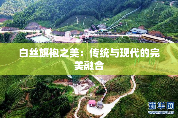 白丝旗袍之美：传统与现代的完美融合