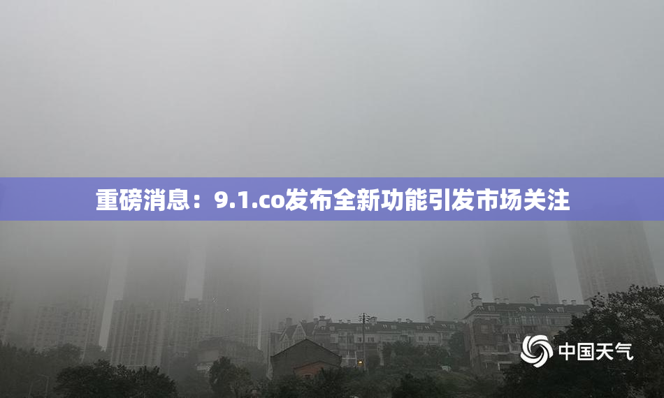 重磅消息：9.1.co发布全新功能引发市场关注
