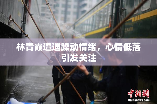林青霞遭遇躁动情绪，心情低落引发关注