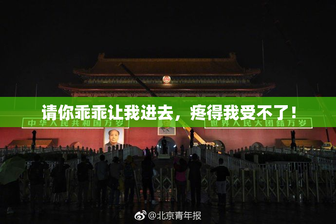 请你乖乖让我进去，疼得我受不了！