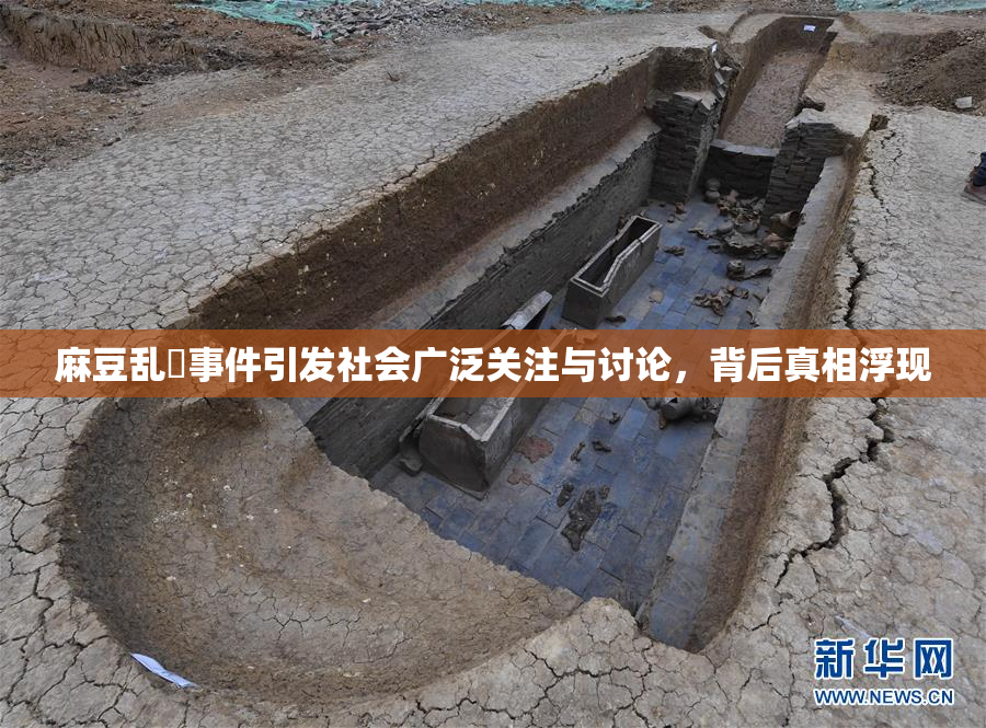 麻豆乱婬事件引发社会广泛关注与讨论，背后真相浮现