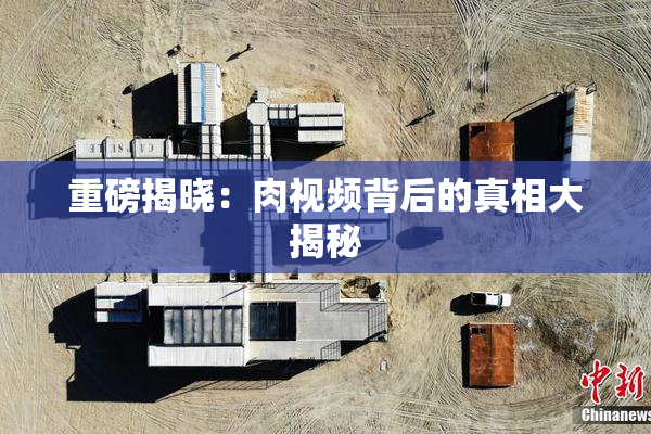 重磅揭晓：肉视频背后的真相大揭秘