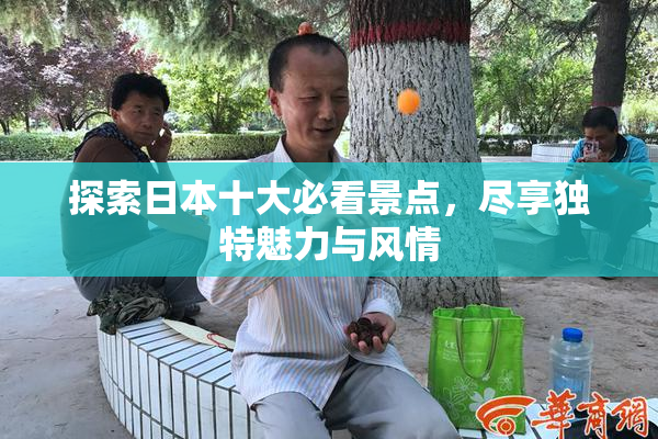 探索日本十大必看景点，尽享独特魅力与风情