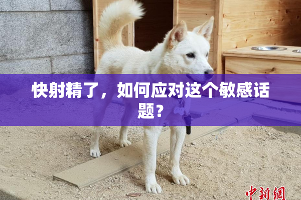 快射精了，如何应对这个敏感话题？