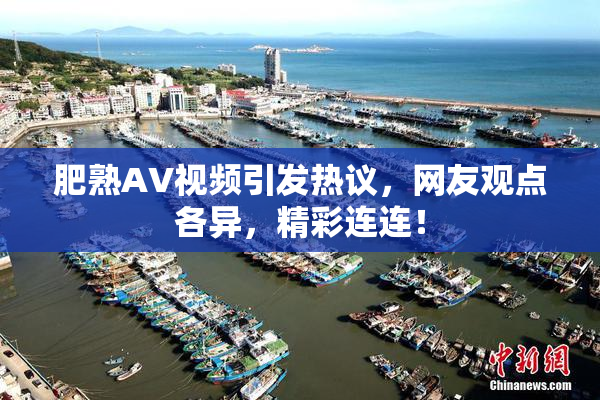 肥熟AV视频引发热议，网友观点各异，精彩连连！