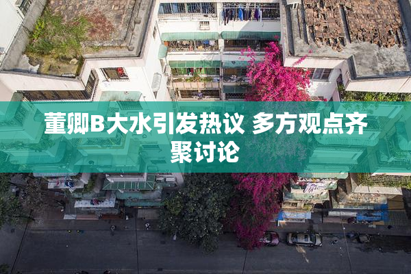 董卿B大水引发热议 多方观点齐聚讨论