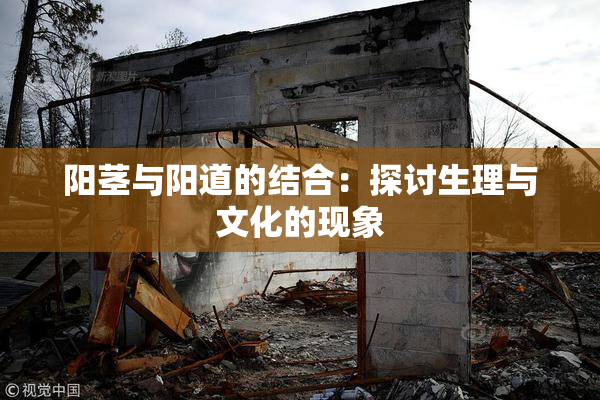 阳茎与阳道的结合：探讨生理与文化的现象