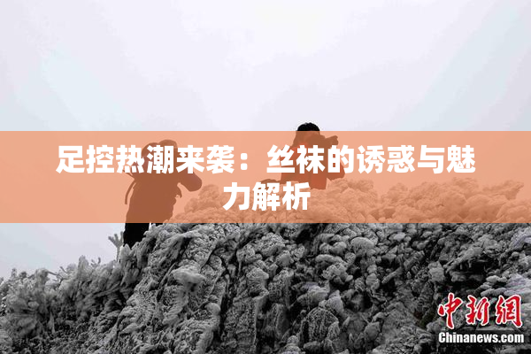 足控热潮来袭：丝袜的诱惑与魅力解析